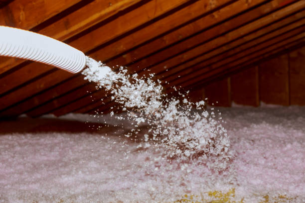 Best Eco-Friendly Insulation in Orange City, IA