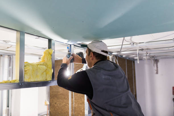 Best Spray Foam Insulation in Orange City, IA