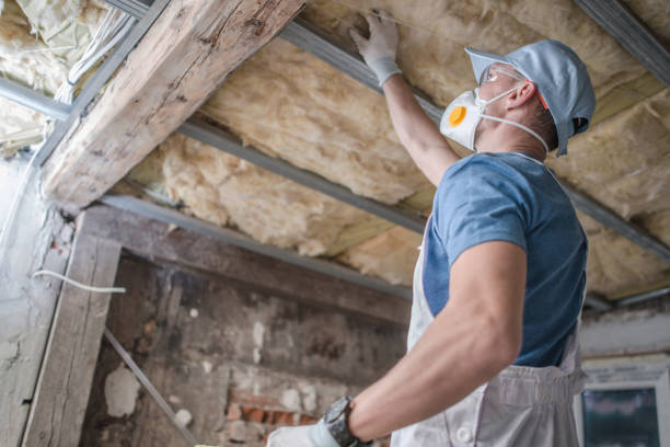 Types of Insulation We Offer in Orange City, IA