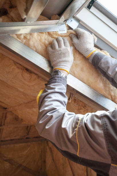 Best Specialized Insulation Services in Orange City, IA