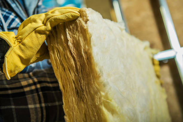 Best Spray Foam Insulation in Orange City, IA