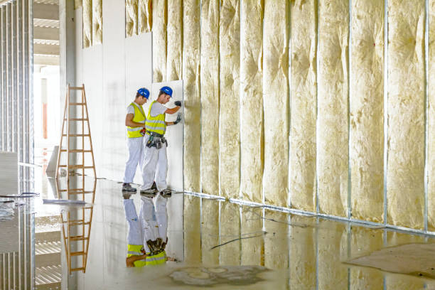 Trusted Orange City, IA Insulation Contractor Experts